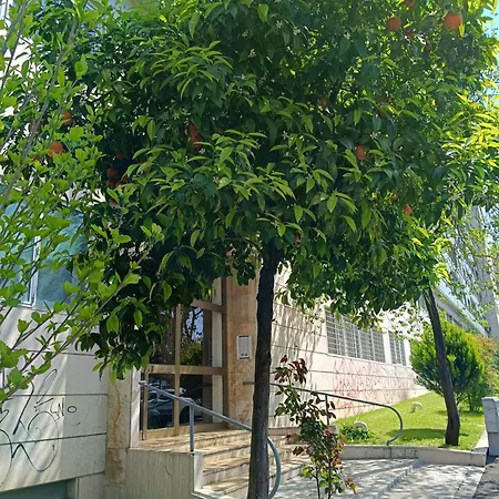 Ancient Colosseum Modern And Bright Apartament *