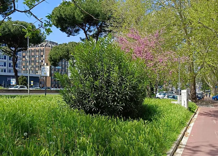 Ancient Colosseum Modern And Bright Daire Roma