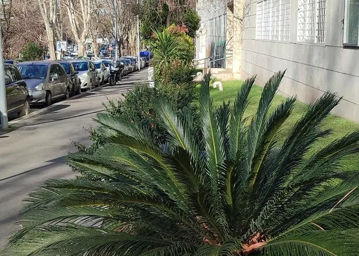 Ancient Colosseum Modern And Bright