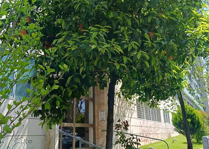 Ancient Colosseum Modern And Bright Apartament *