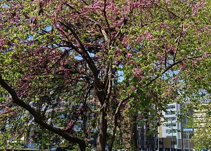 Apartament Ancient Colosseum Modern And Bright *