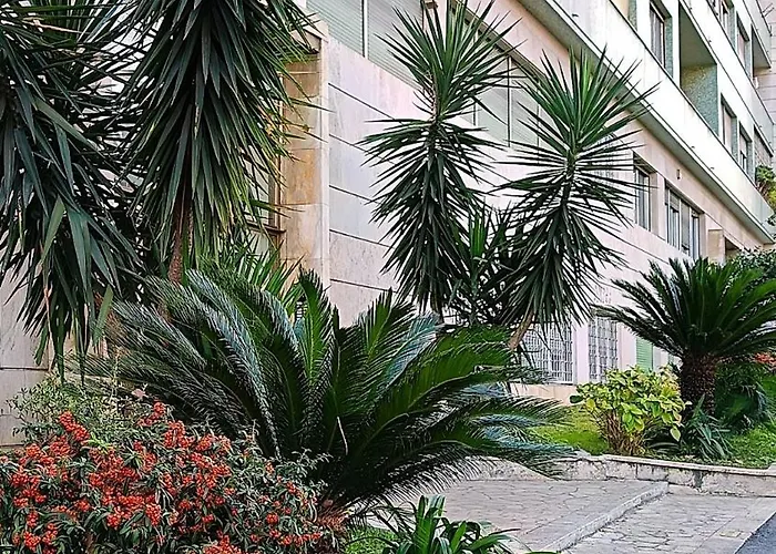 Ancient Colosseum Modern And Bright